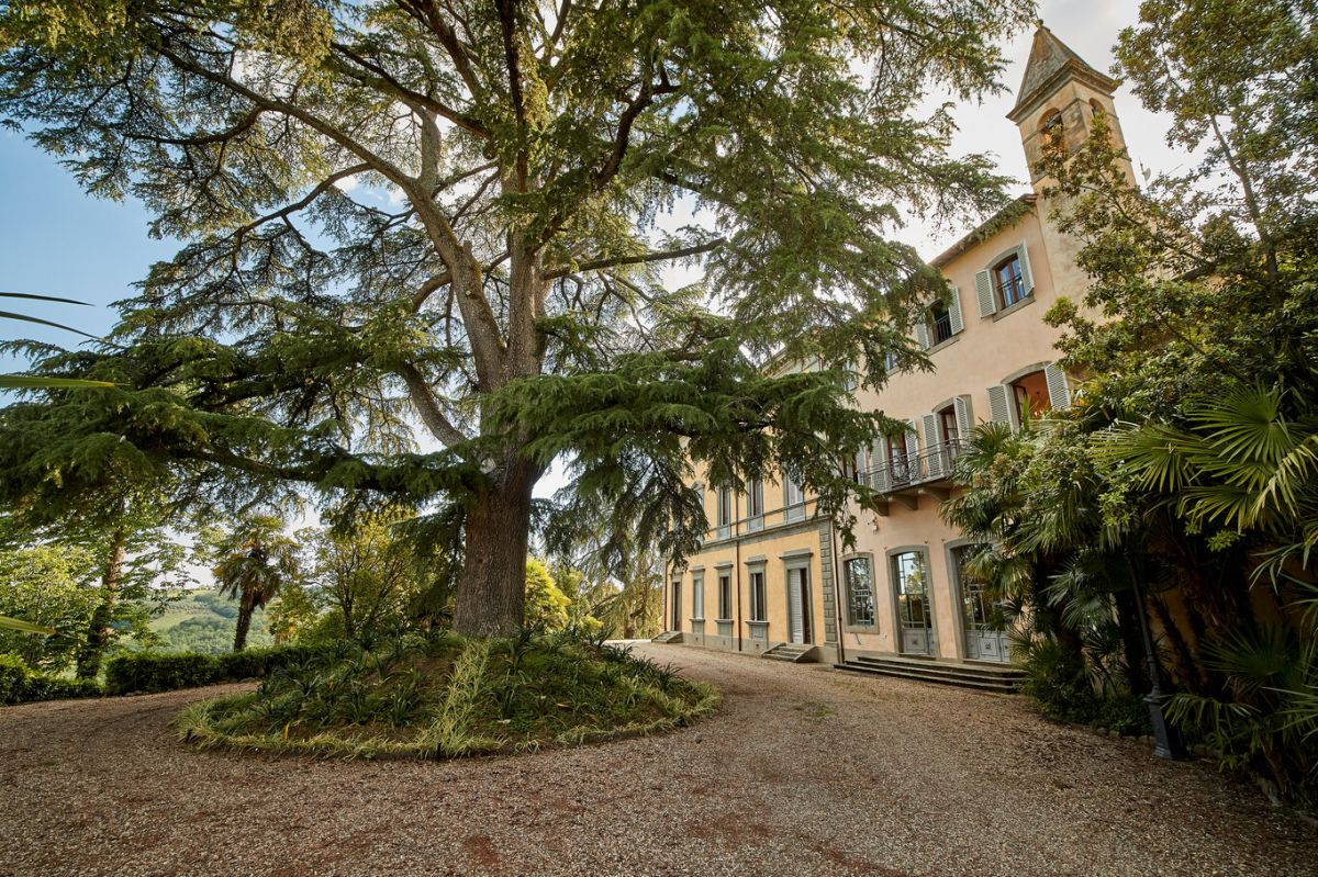 Cedar at the wedding hamlet in Tuscany