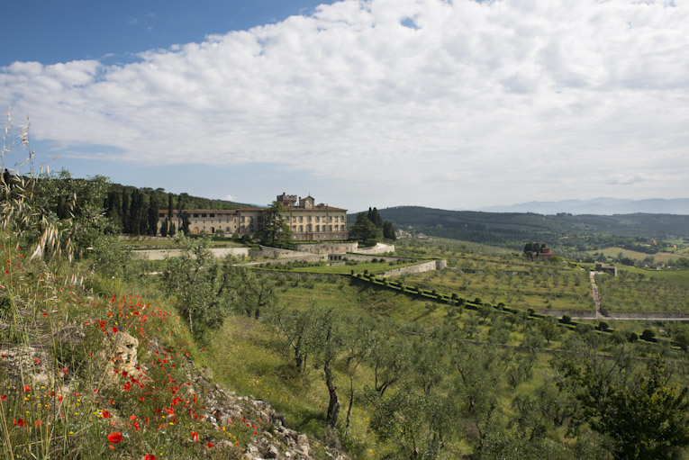 surrounding hills of an elegant wedding resort