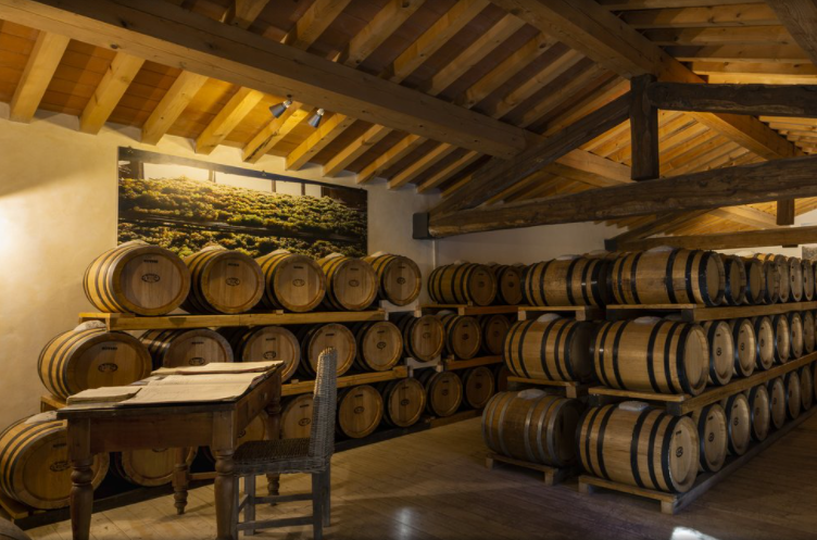 cellar in a elegant wedding resort in tuscany