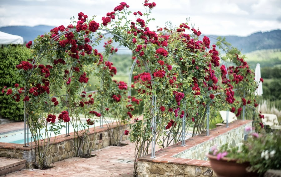 Floral tunnel at wedding hamlet in Siena