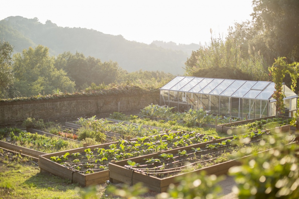 Vegetable garden at organic farmhouse for weddings in Tuscany