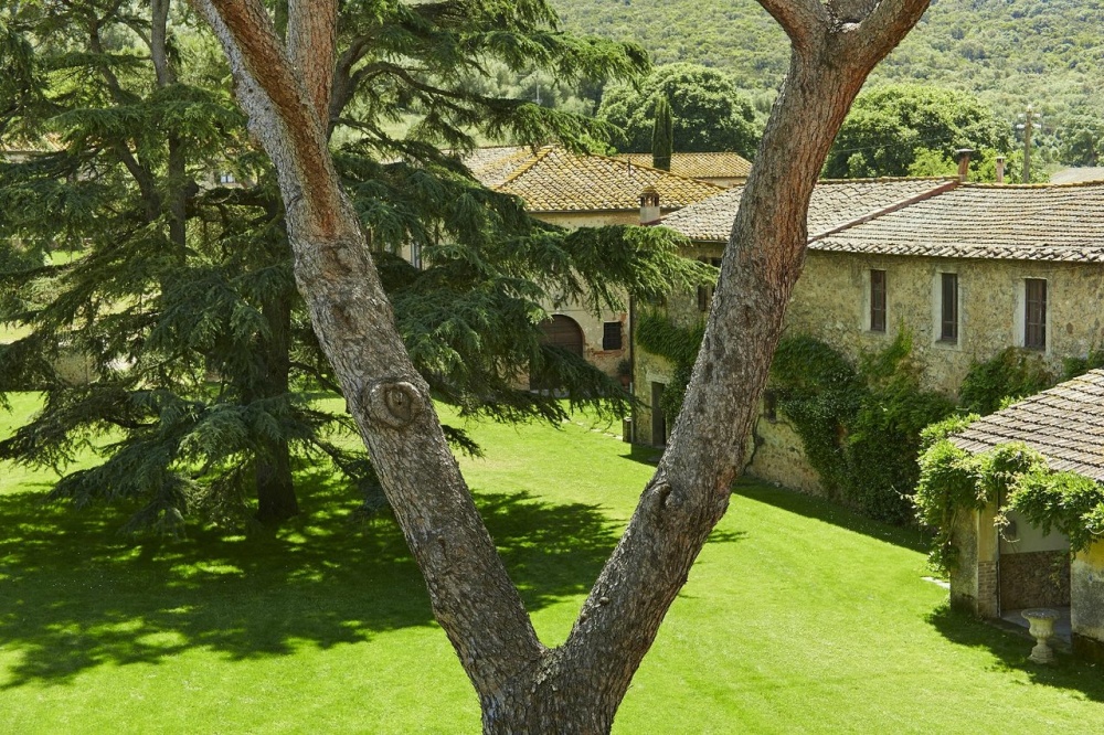 View of the gardena with cedar of charming Wedding Farm Resort in Maremma