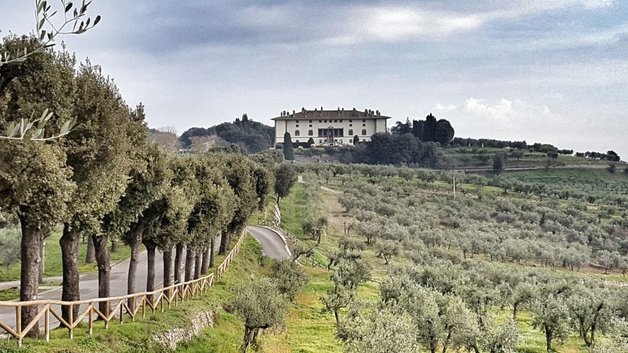 road to the villa medicea in tuscany