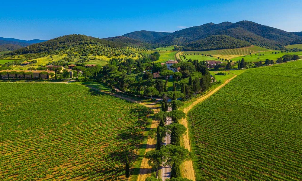 arrival road wedding villa in tuscany