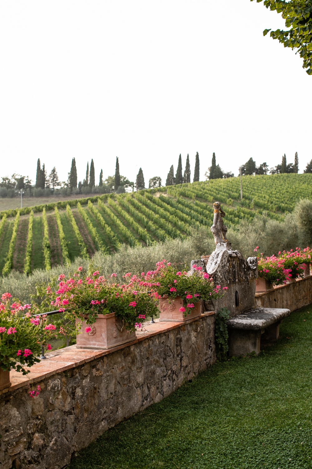 landscape view in siena